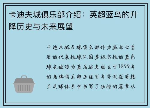 卡迪夫城俱乐部介绍：英超蓝鸟的升降历史与未来展望
